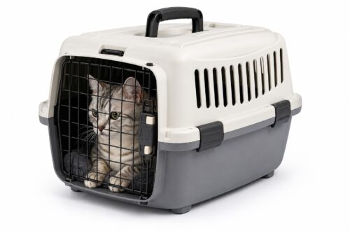 Transportadora Rígida para Gatos - Imagen 2